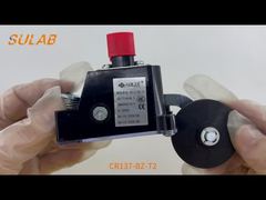 Interrupteur de fin de course robuste CR137-BZ-T2 avec indice IP67, 2 contacts à action instantanée SPDT et rouleau en acier L